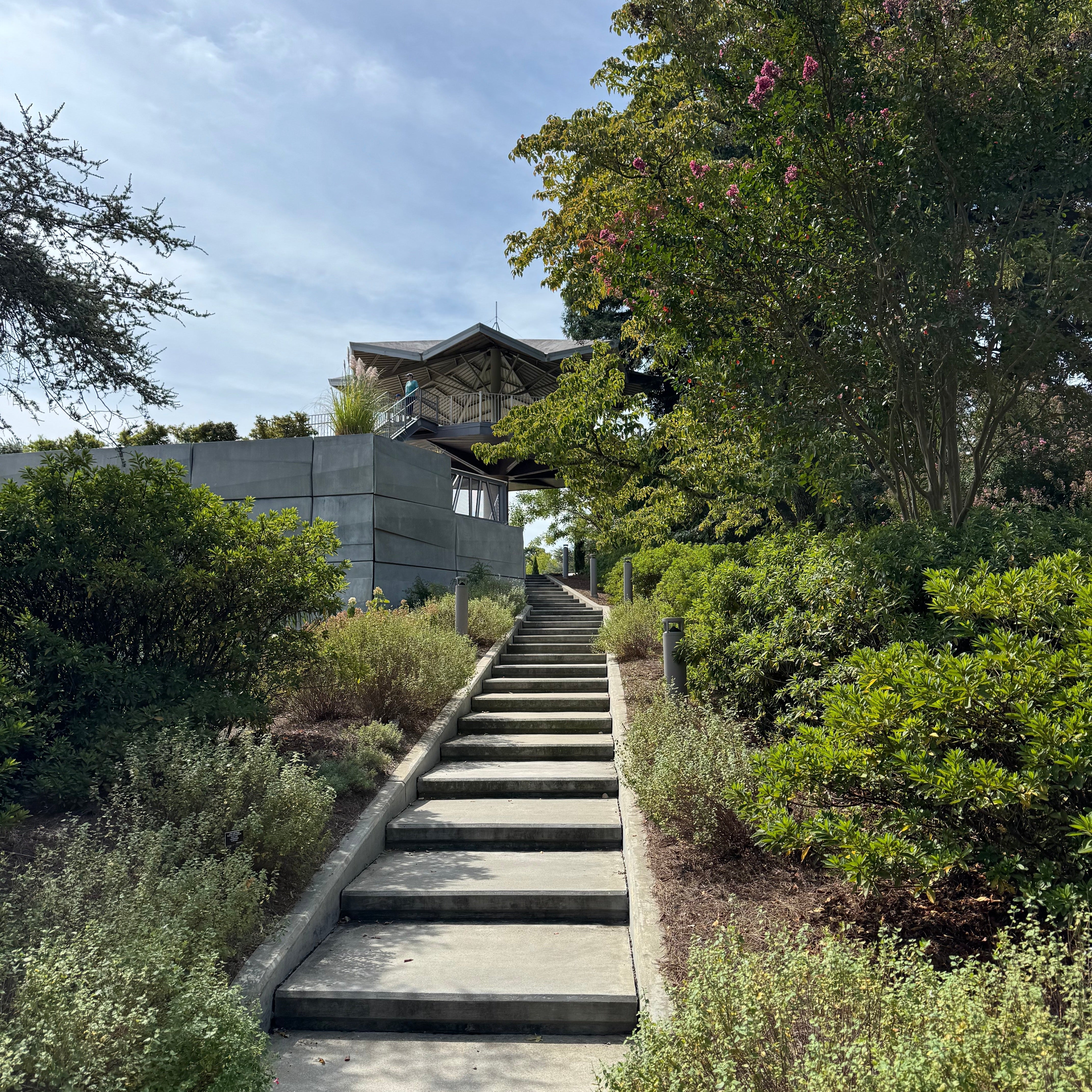 A Visit to Norfolk Virginia Botanical Garden. Road Trip from Raleigh