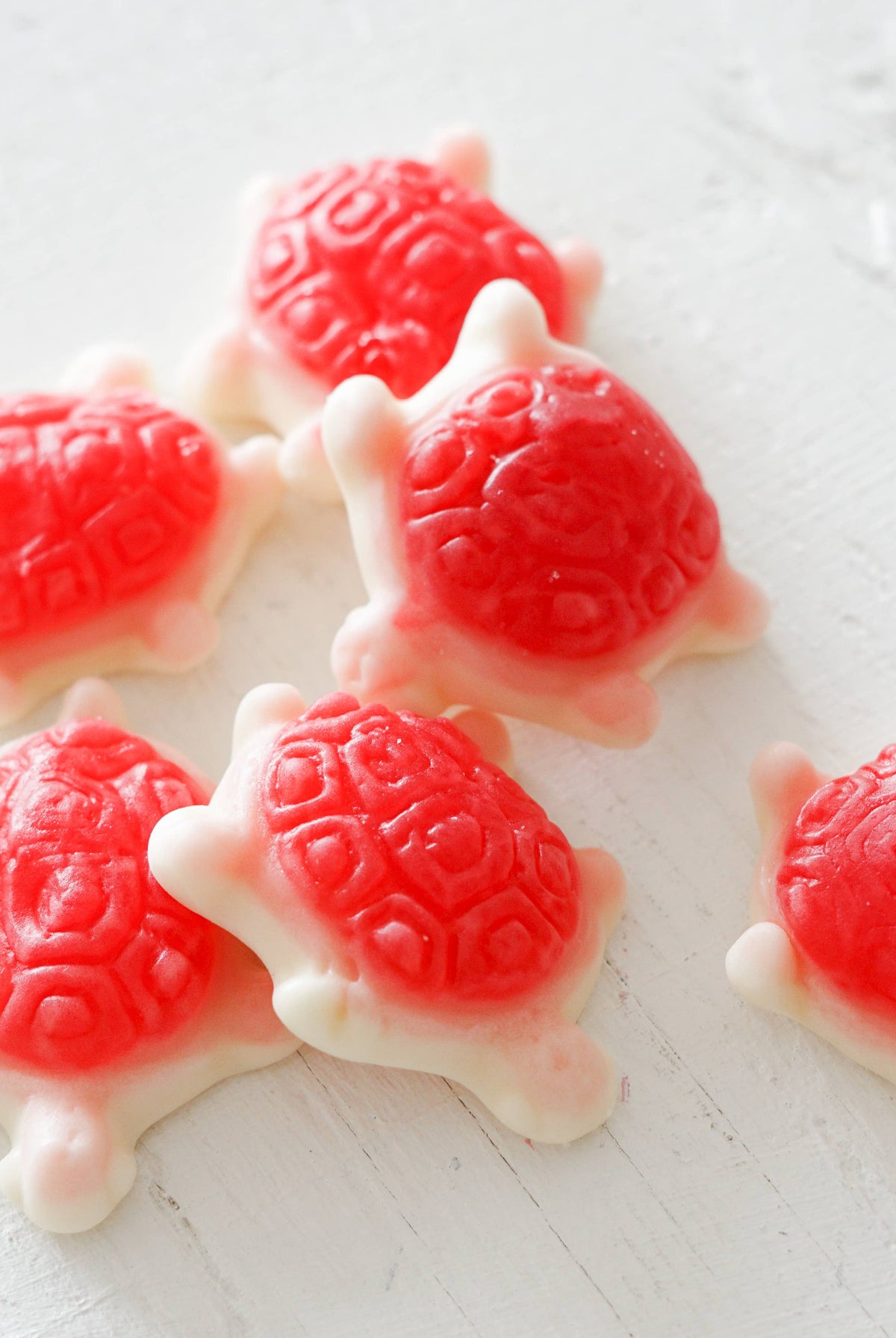 Sea Turtles Gummy Candies - Gather Goods Co.