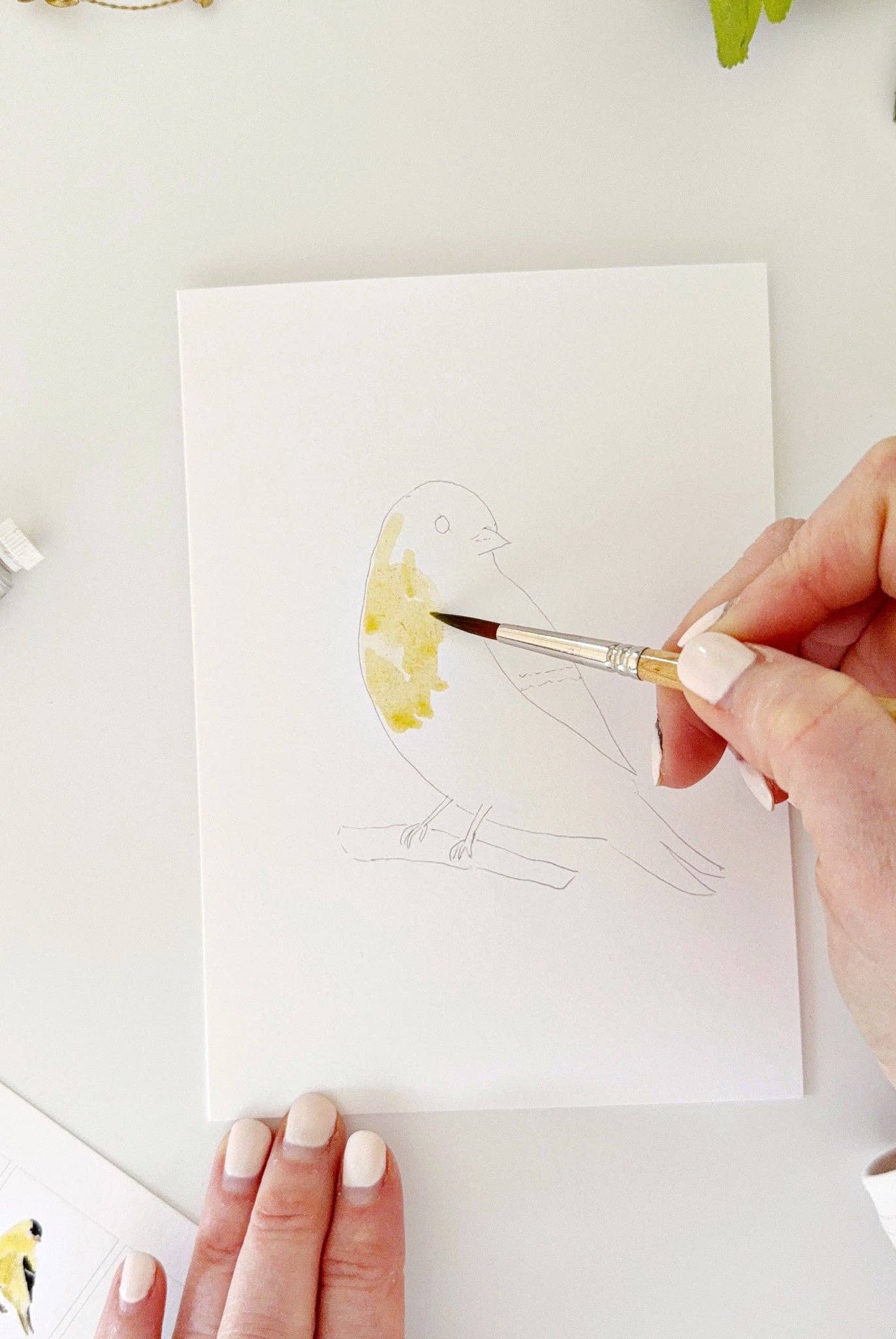 Backyard birds paintable notecards - Gather Goods Co.