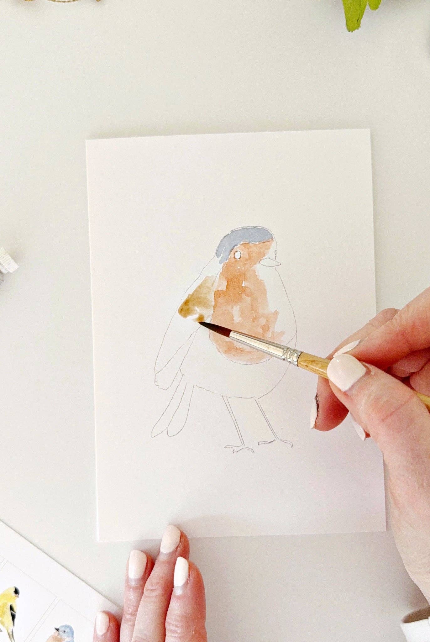 Backyard birds paintable notecards - Gather Goods Co.