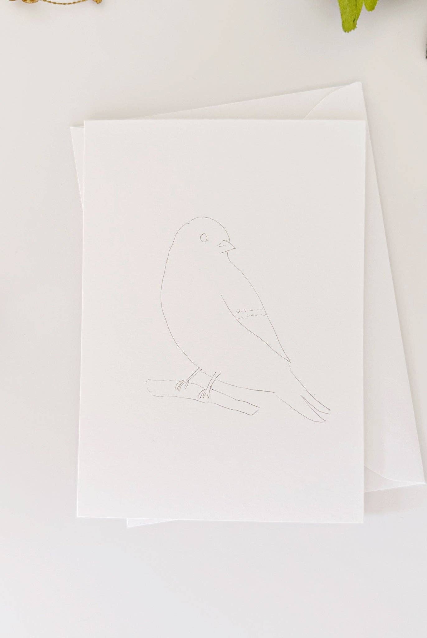 Backyard birds paintable notecards - Gather Goods Co.