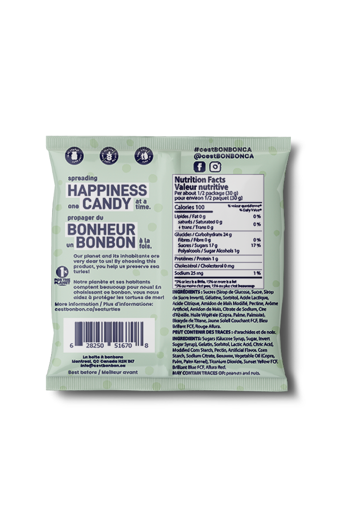 Sea Turtles Gummy Candies - Gather Goods Co.