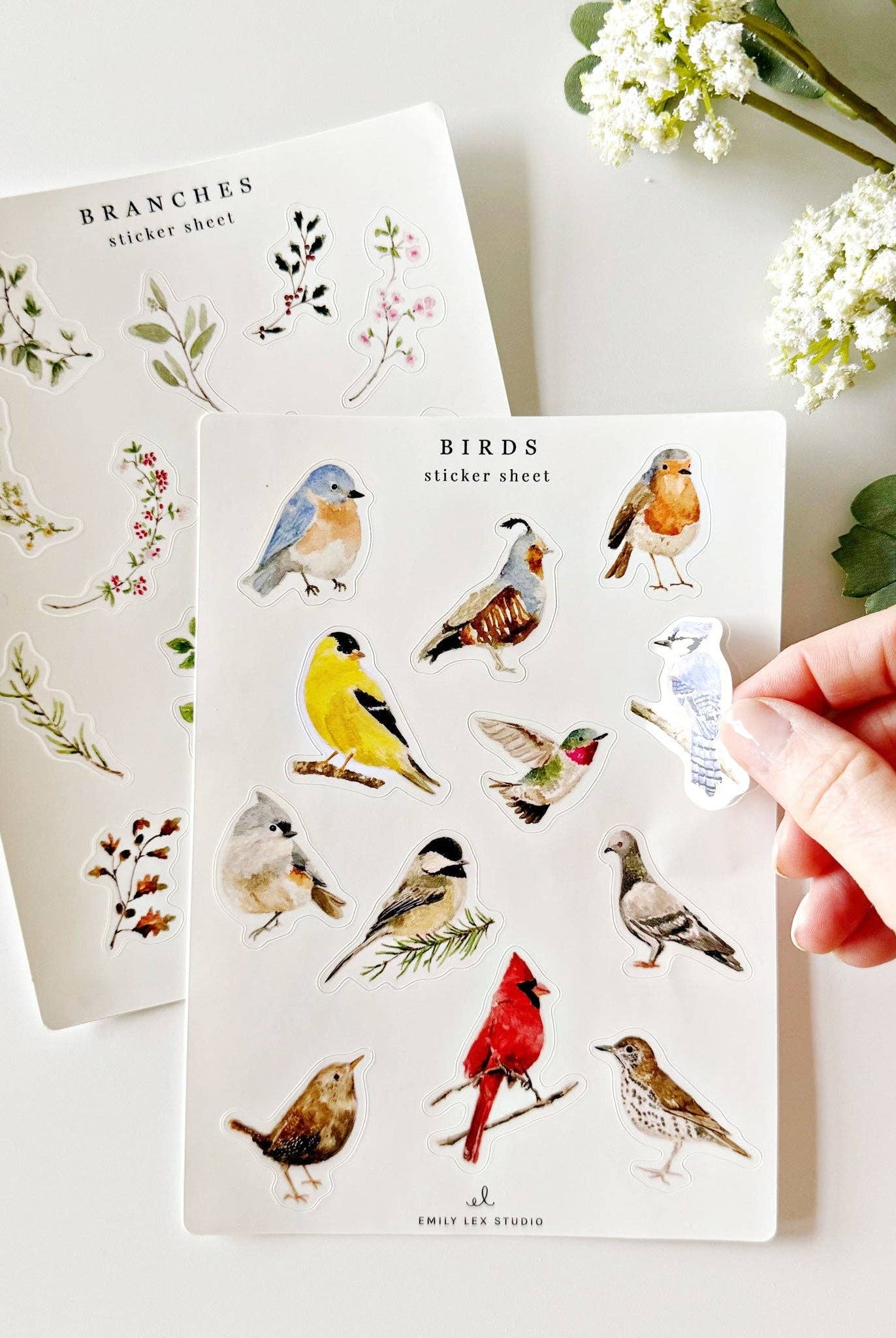 Birds sticker sheets - Gather Goods Co.