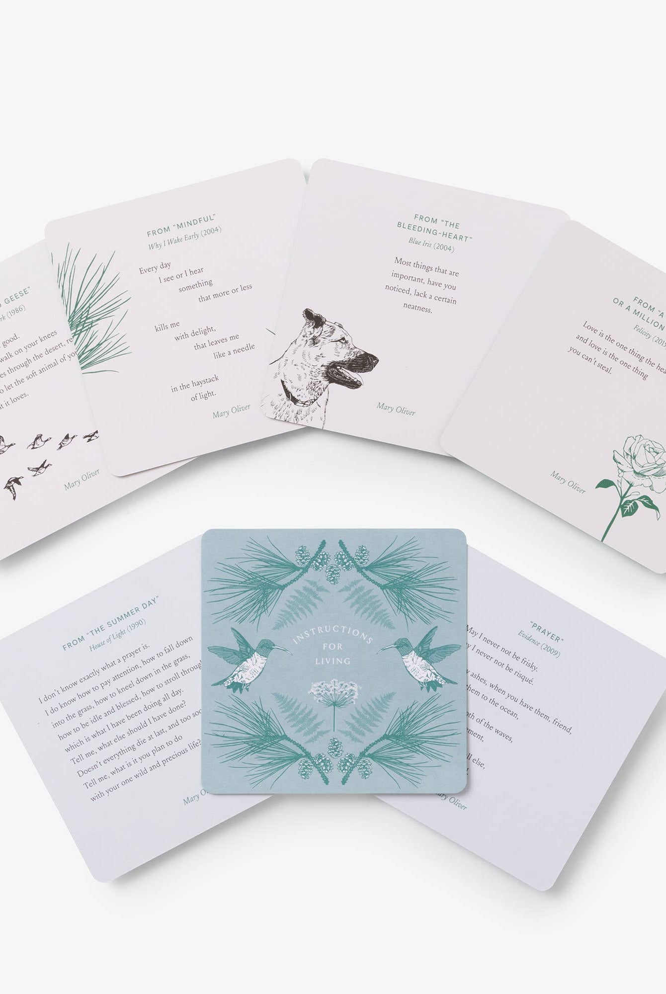 Instructions for Living, Mary Oliver Reflection Cards - Gather Goods Co.