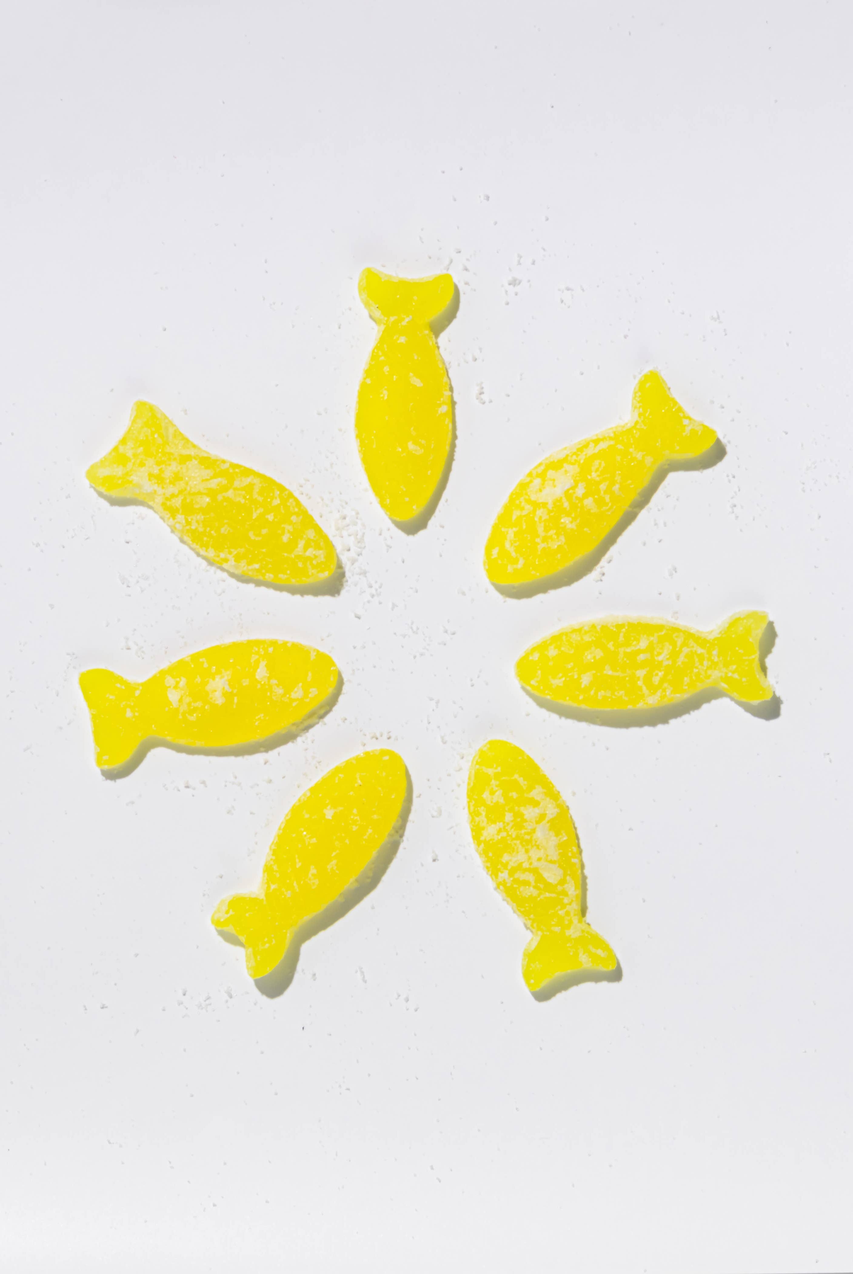 Sour Elderflower Fish Candy - Gather Goods Co.