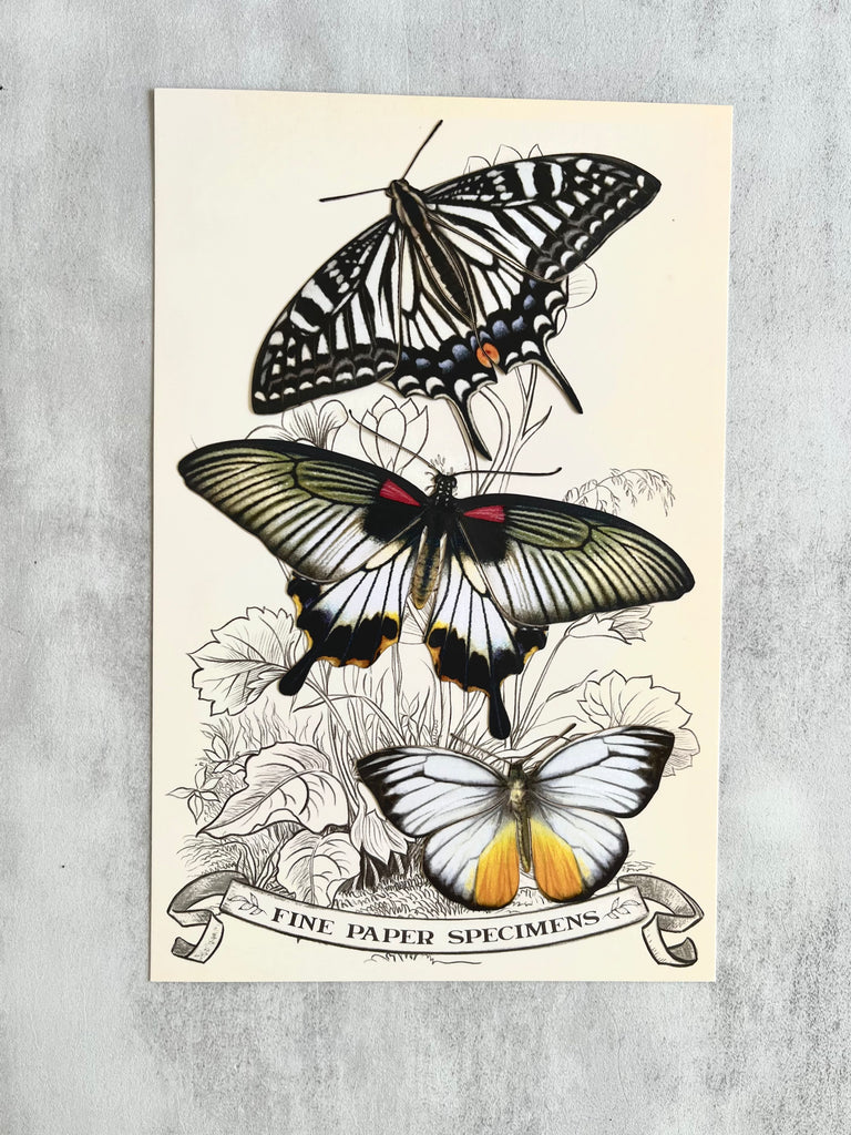 Paper Butterflies - Celestial Set– Gather Goods Co.