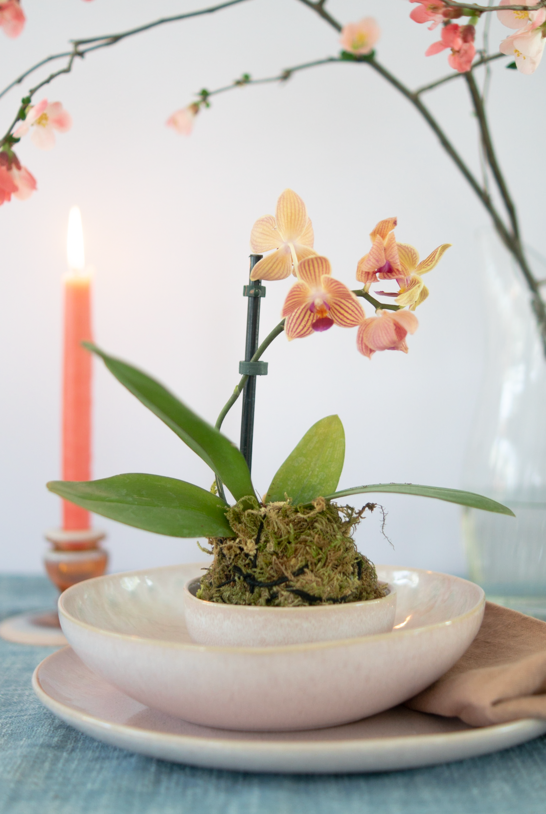Flower Arranging Class, Orchid Kokedama - Gather Goods Co.