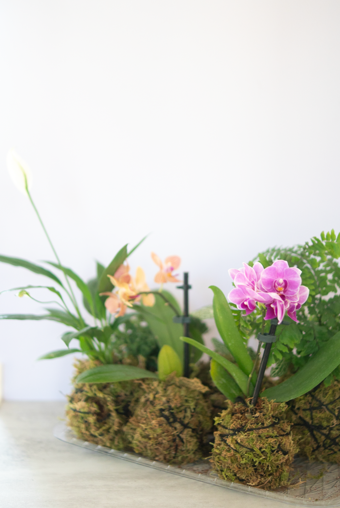 Flower Arranging Class, Orchid Kokedama - Gather Goods Co.