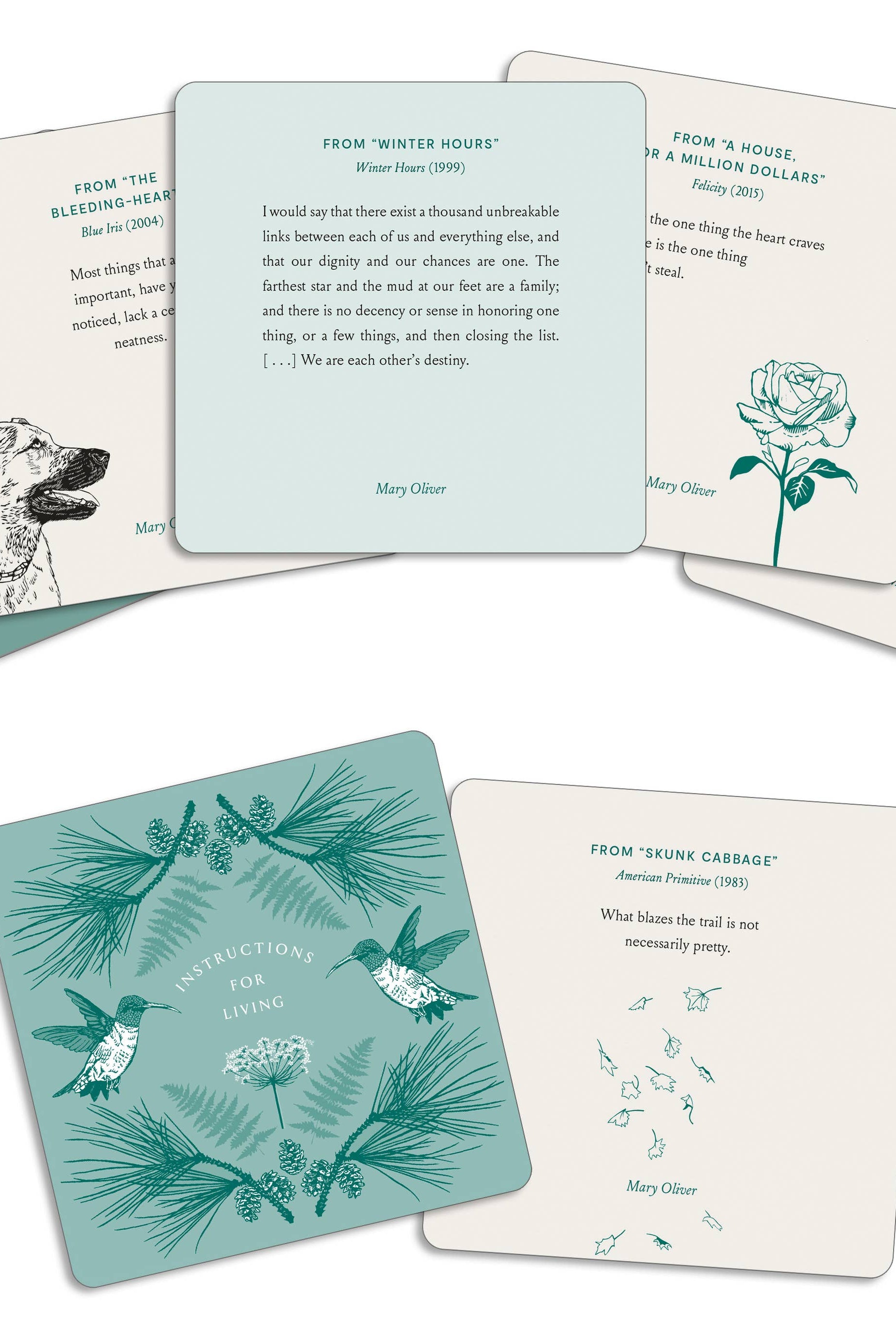 Instructions for Living, Mary Oliver Reflection Cards - Gather Goods Co.