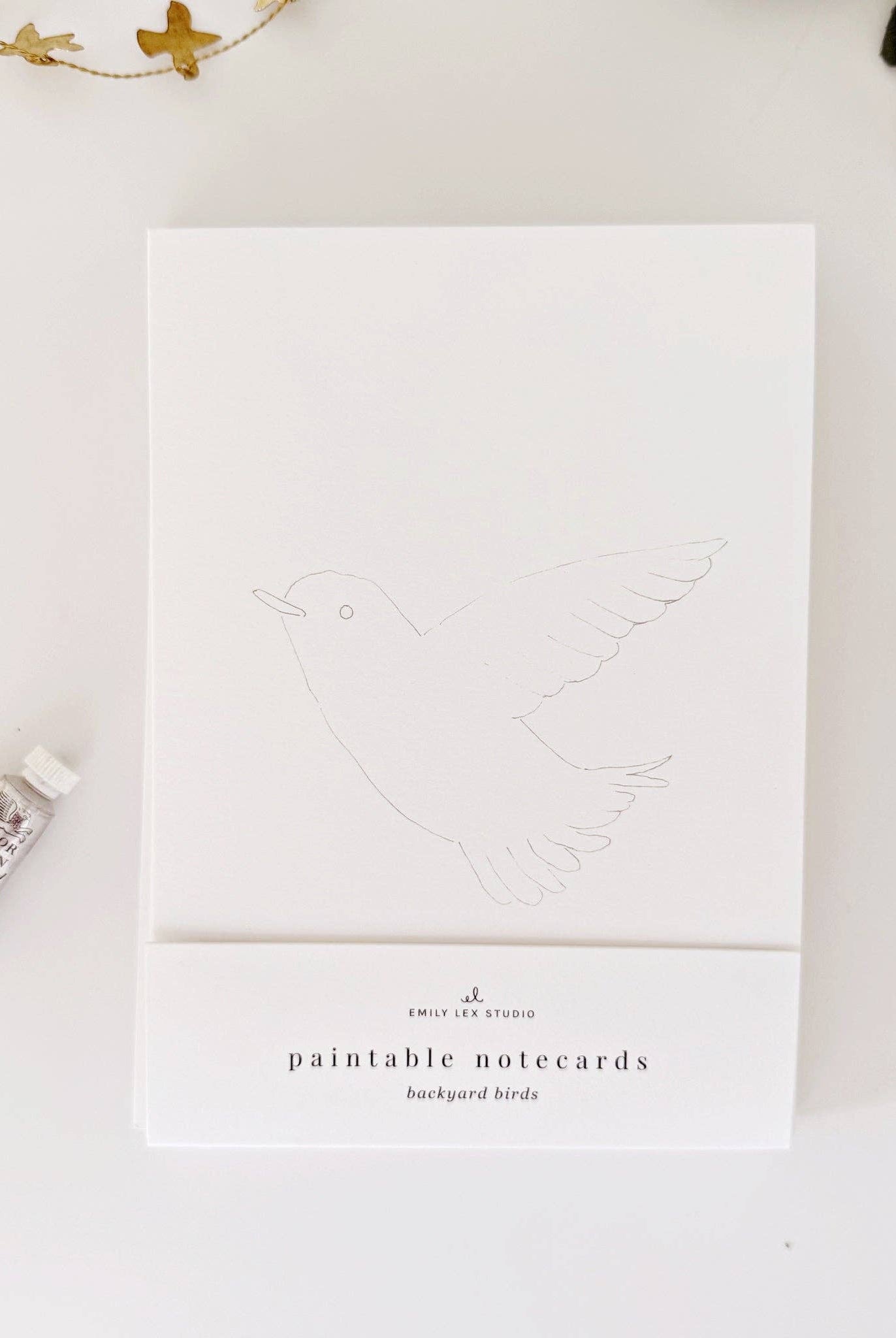 Backyard birds paintable notecards - Gather Goods Co.