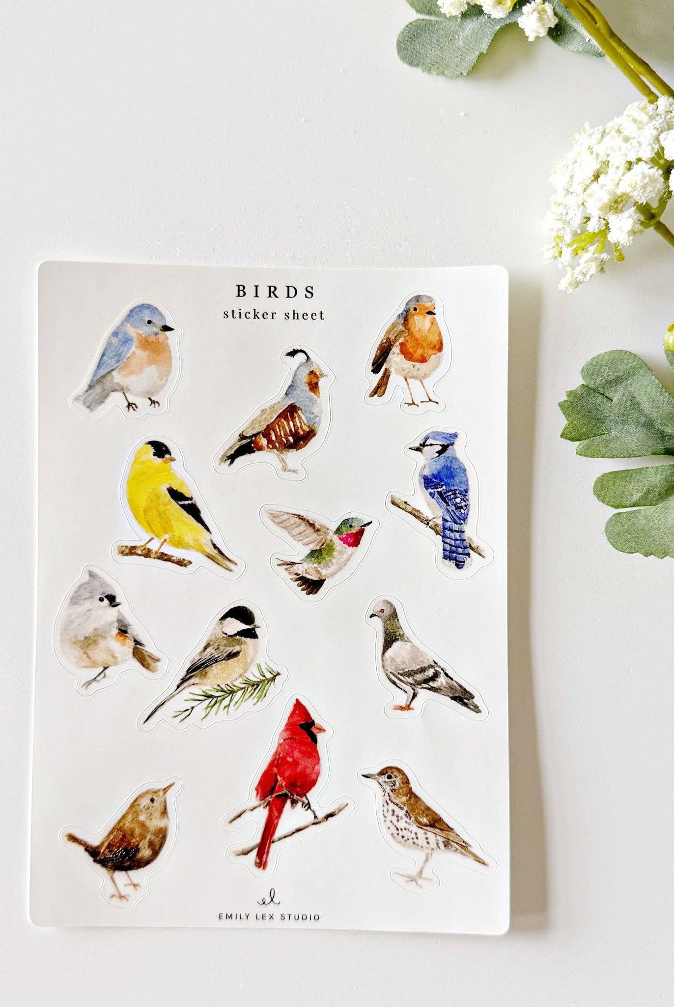 Birds sticker sheets - Gather Goods Co.