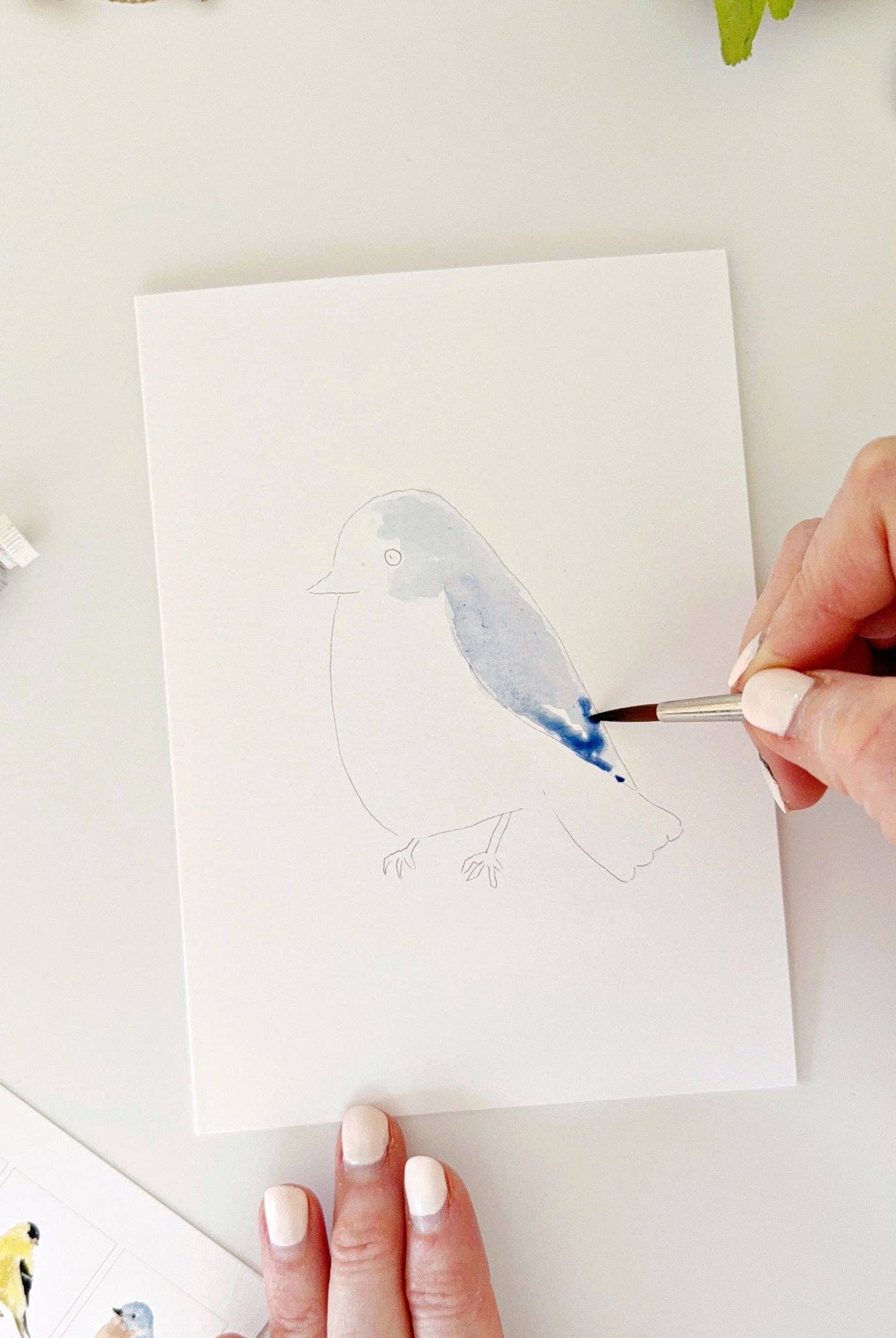 Backyard birds paintable notecards - Gather Goods Co.