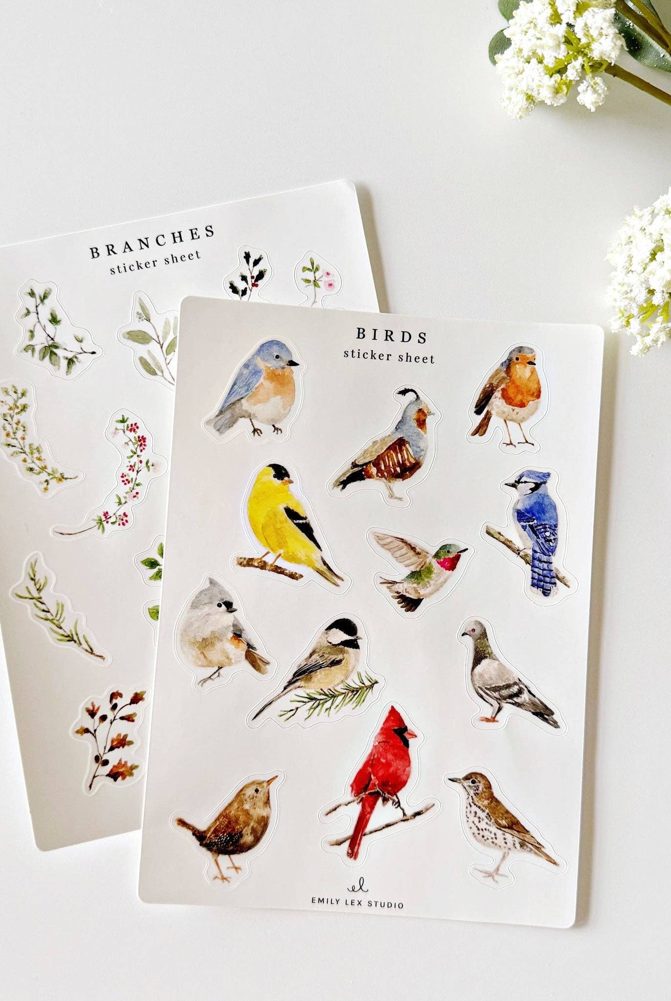 Birds sticker sheets - Gather Goods Co.