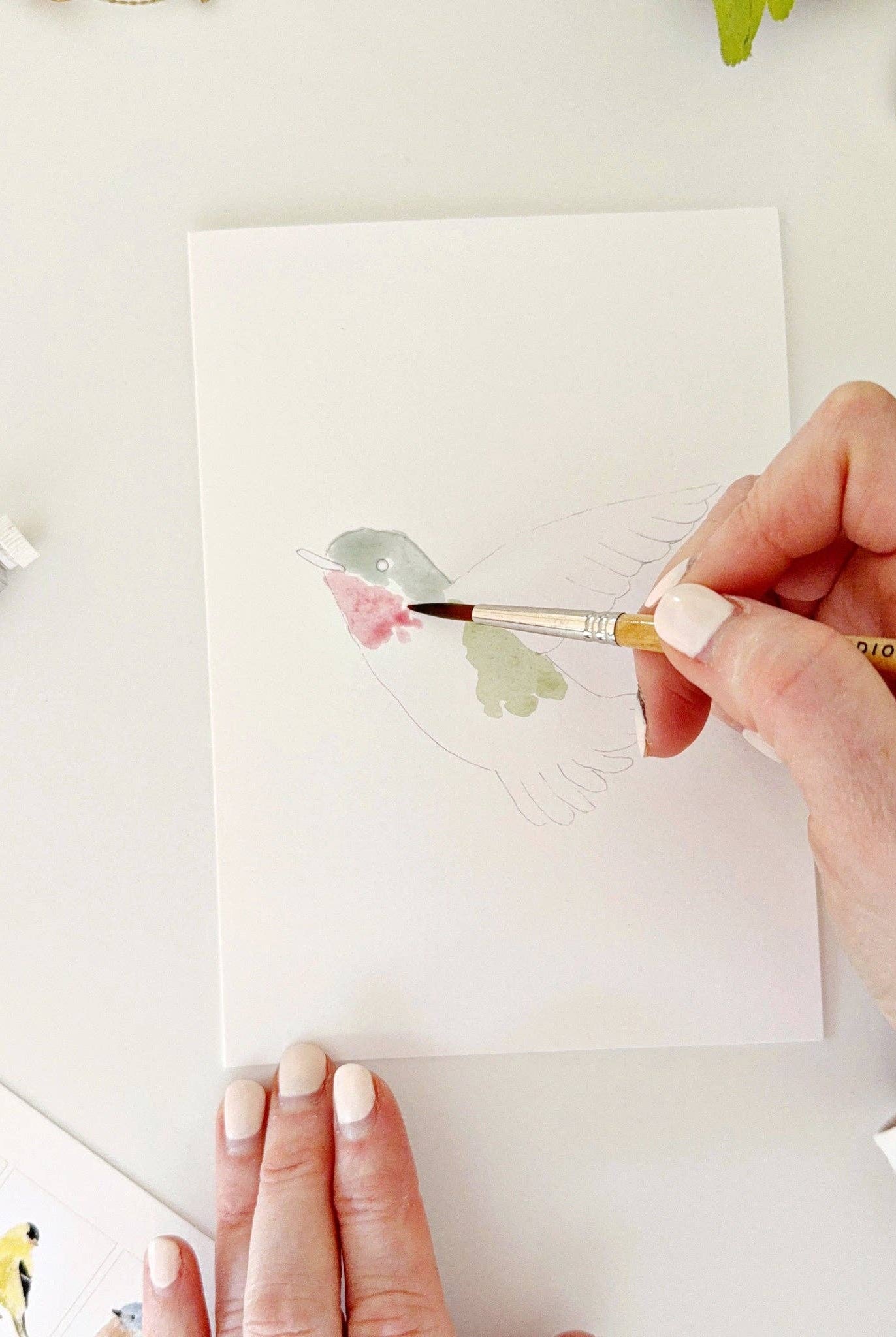 Backyard birds paintable notecards - Gather Goods Co.
