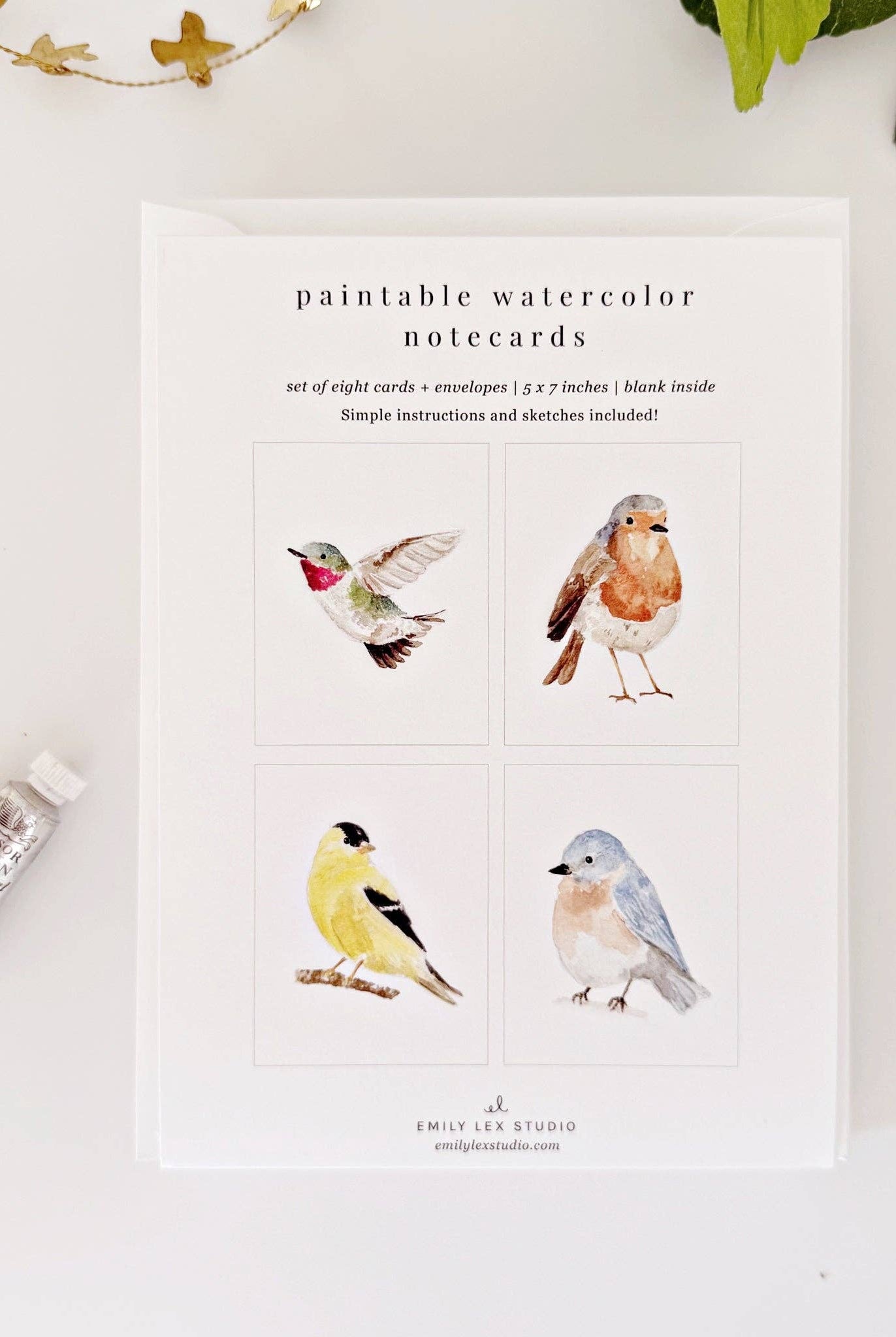 Backyard birds paintable notecards - Gather Goods Co.
