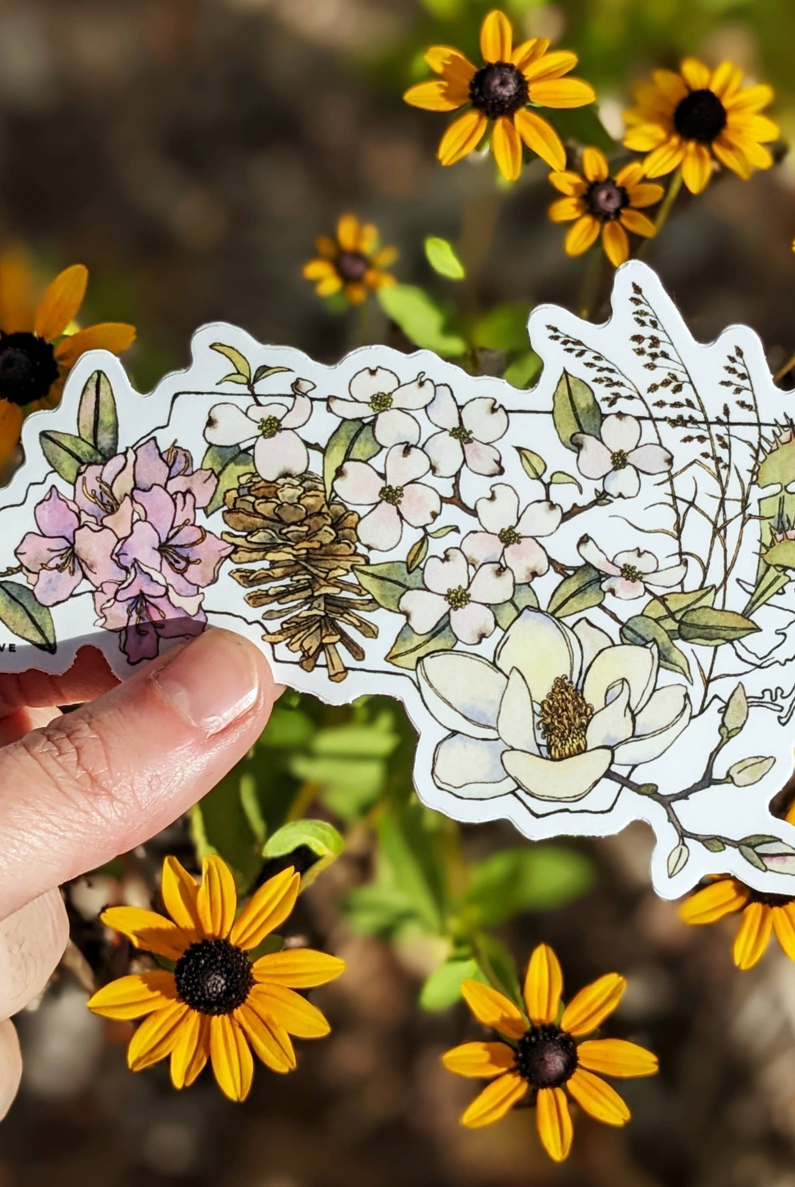 North Carolina Native Plants vinyl sticker - Gather Goods Co.