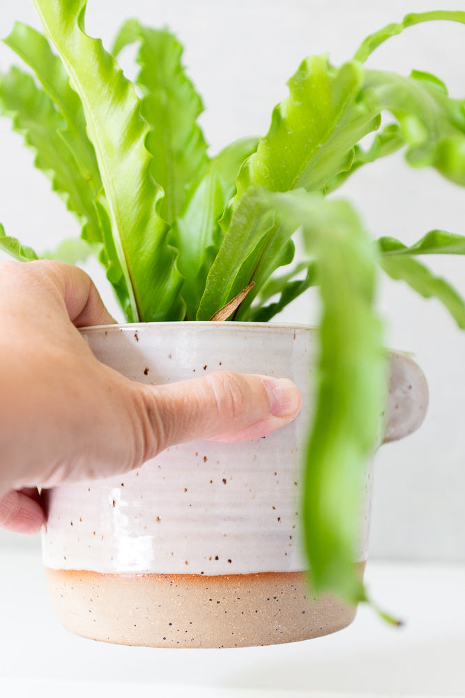 Speckled White Ceramic Planter Pot - Gather Goods Co - Raleigh, NC