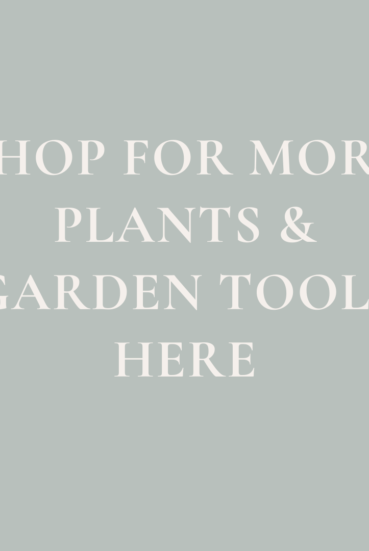 Shop More Garden And Plant Tools & Gifts Here - Gather Goods Co.