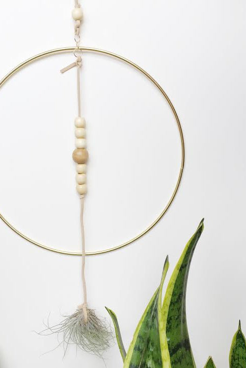 Hanging Planter with Air Plant in Gold and Leather - Gather Goods Co - Raleigh, NC