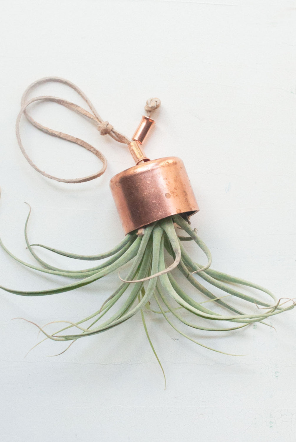 Hanging Planter Copper Chime with Airplant - Gather Goods Co - Raleigh, NC