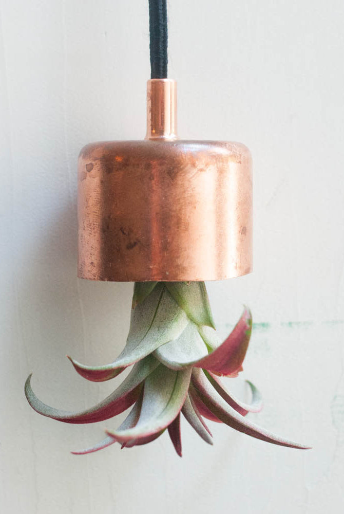 Hanging Planter Copper Chime with Airplant - Gather Goods Co - Raleigh, NC