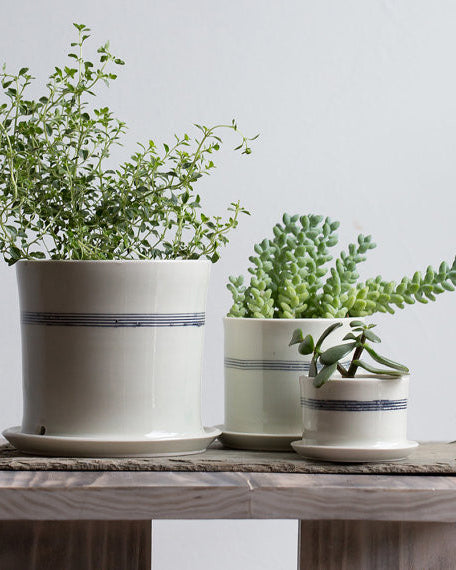 Striped Porcelain Planter - Gather Goods Co - Raleigh, NC