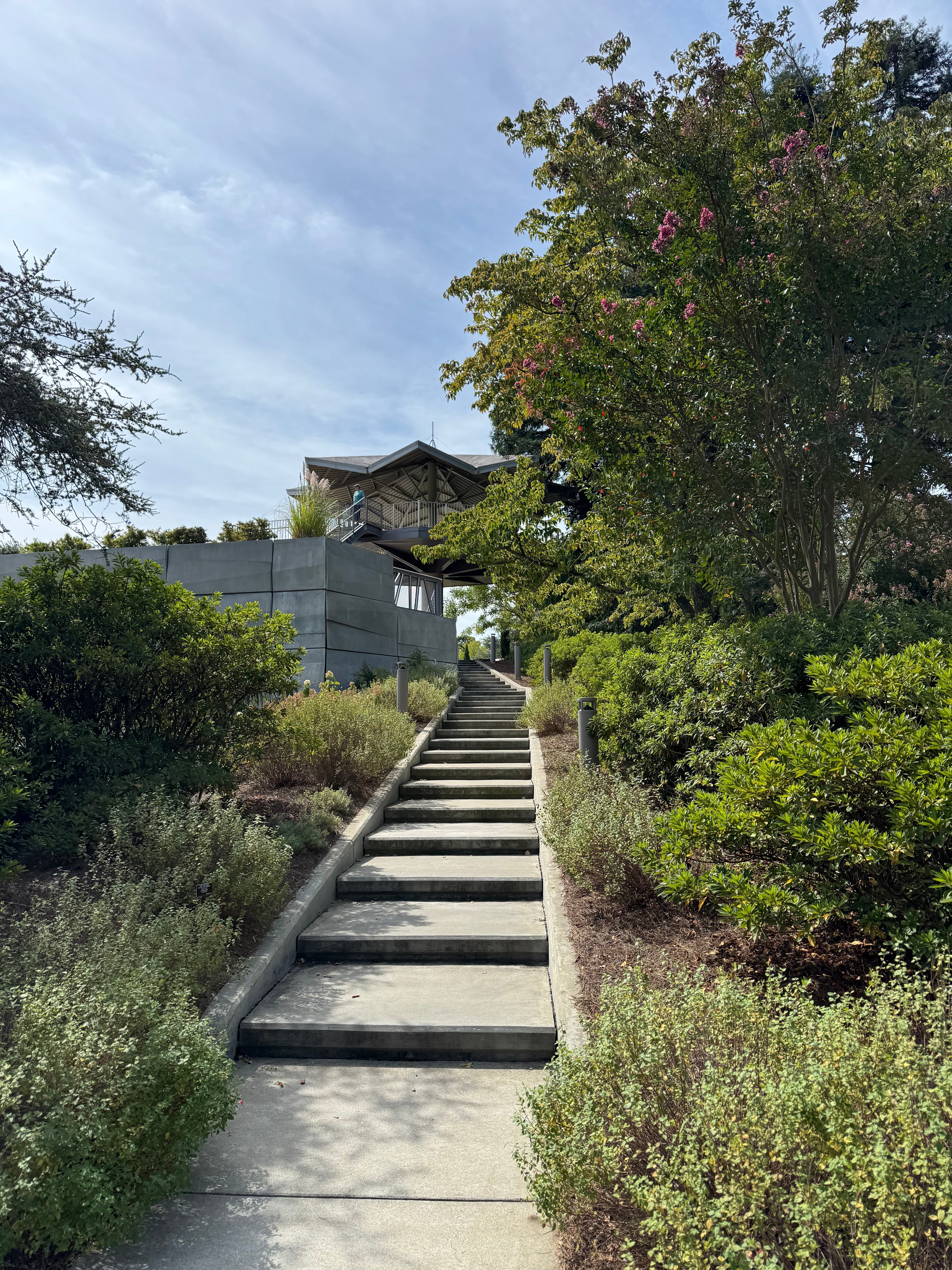 A Visit to Norfolk Virginia Botanical Garden. Road Trip from Raleigh