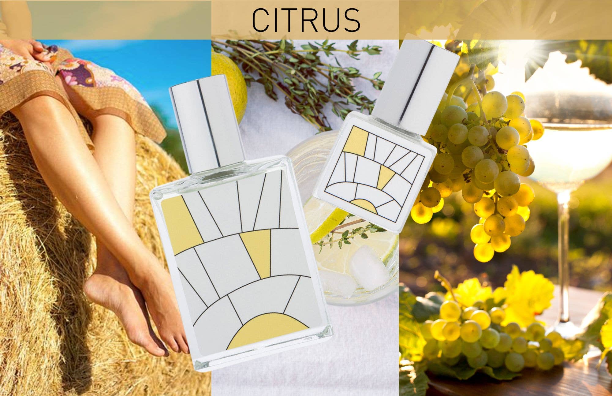 BLENDS Perfume Oil: Citrus - Gather Goods Co.