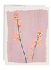 Coral Bells Blank Botanical Note Card