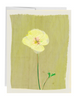 Poppy Blank Botanical Note Card