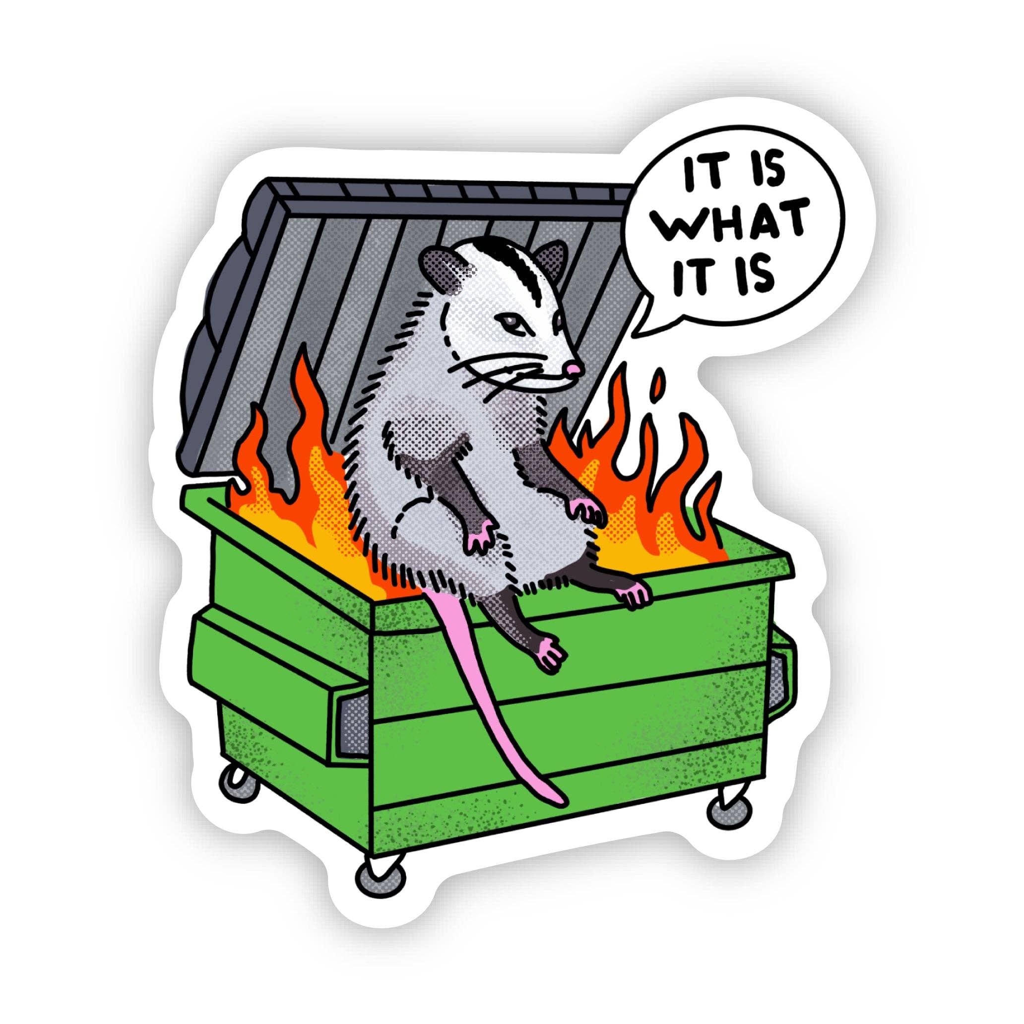 "It is what it is" Possum Dumpster Fire Sticker - Gather Goods Co.