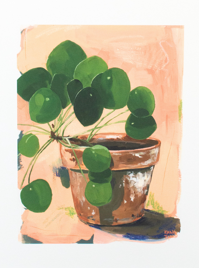money tree terracotta Money Plant In Terracotta Art Print