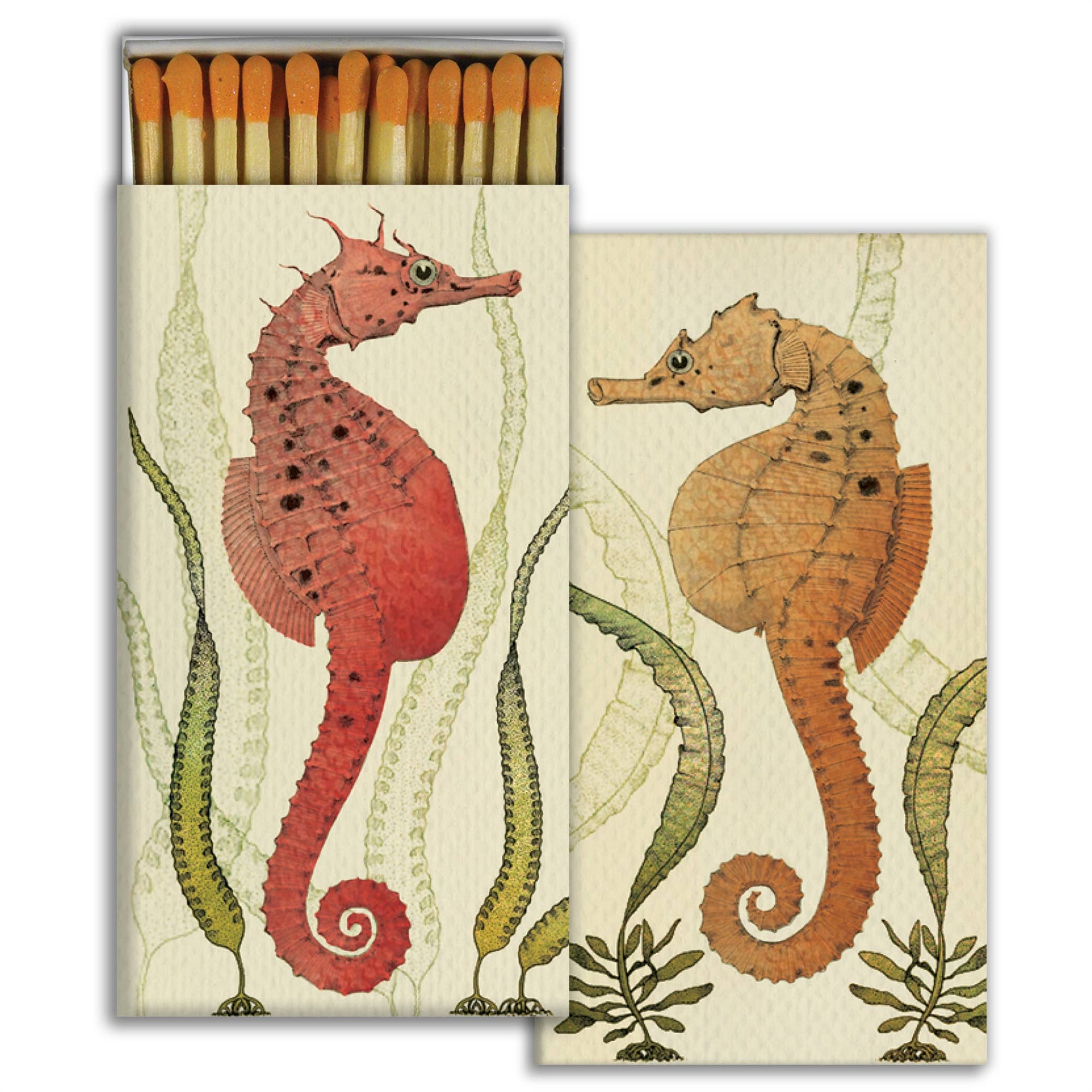 Match Box, Seahorses - Gather Goods Co.