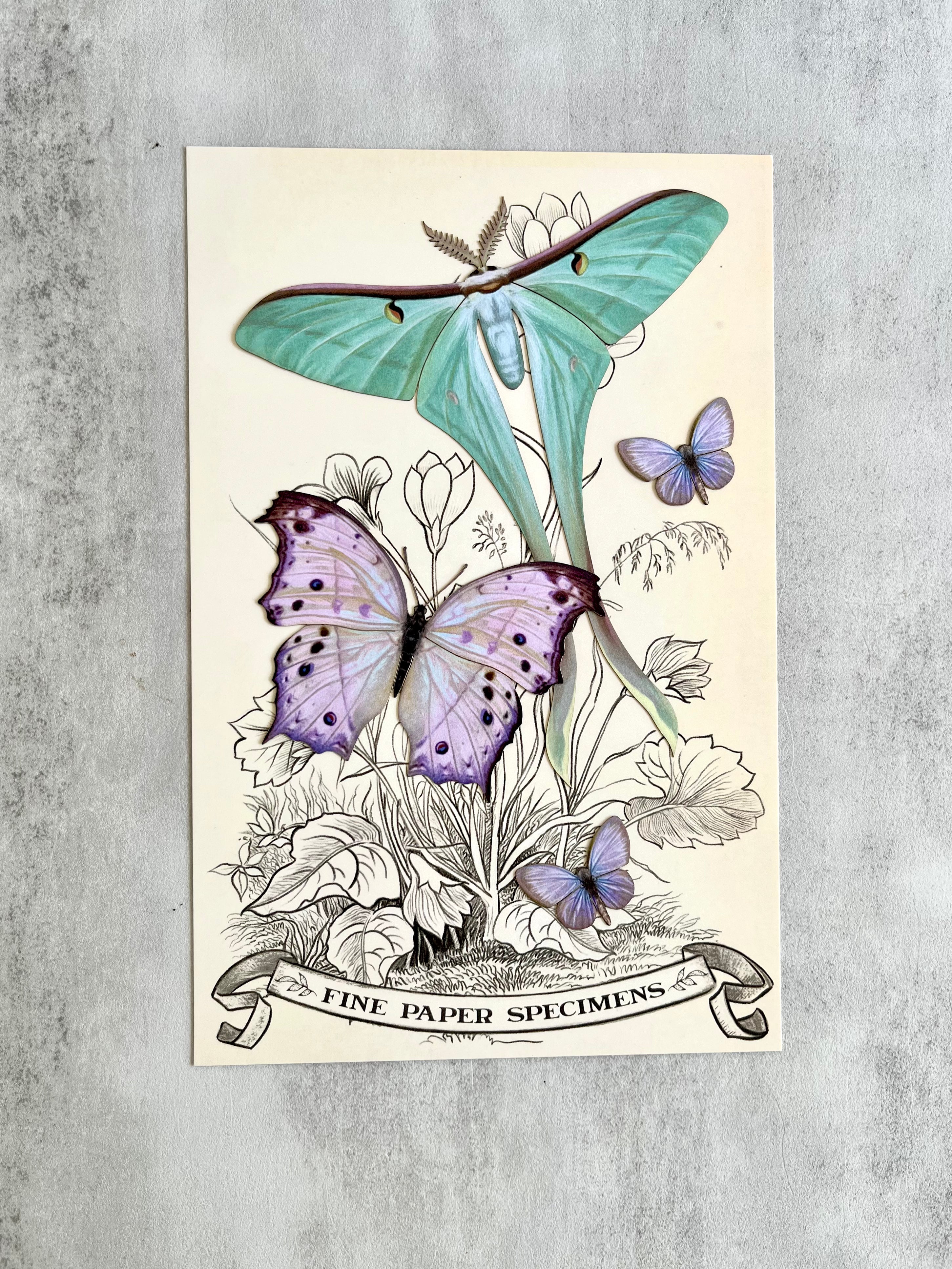 Paper Butterflies - Hyacinth Set - Gather Goods Co.