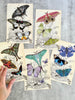 Paper Butterflies - Basara 3 Piece Set