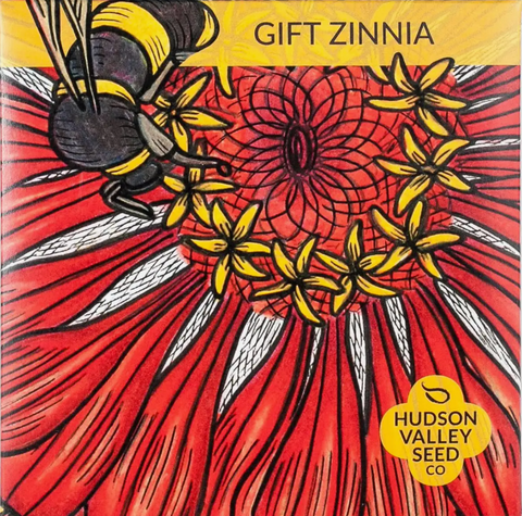 Gift Zinnia Seed Pack