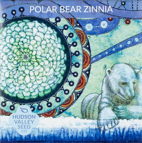 Polar Bear Zinnias Seed Pack