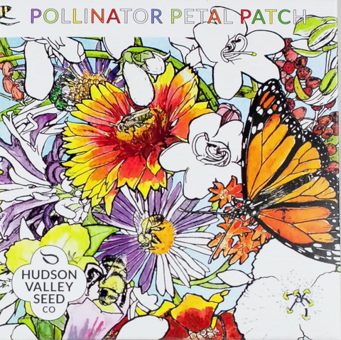 Pollinator Petal Patch Seed Pack