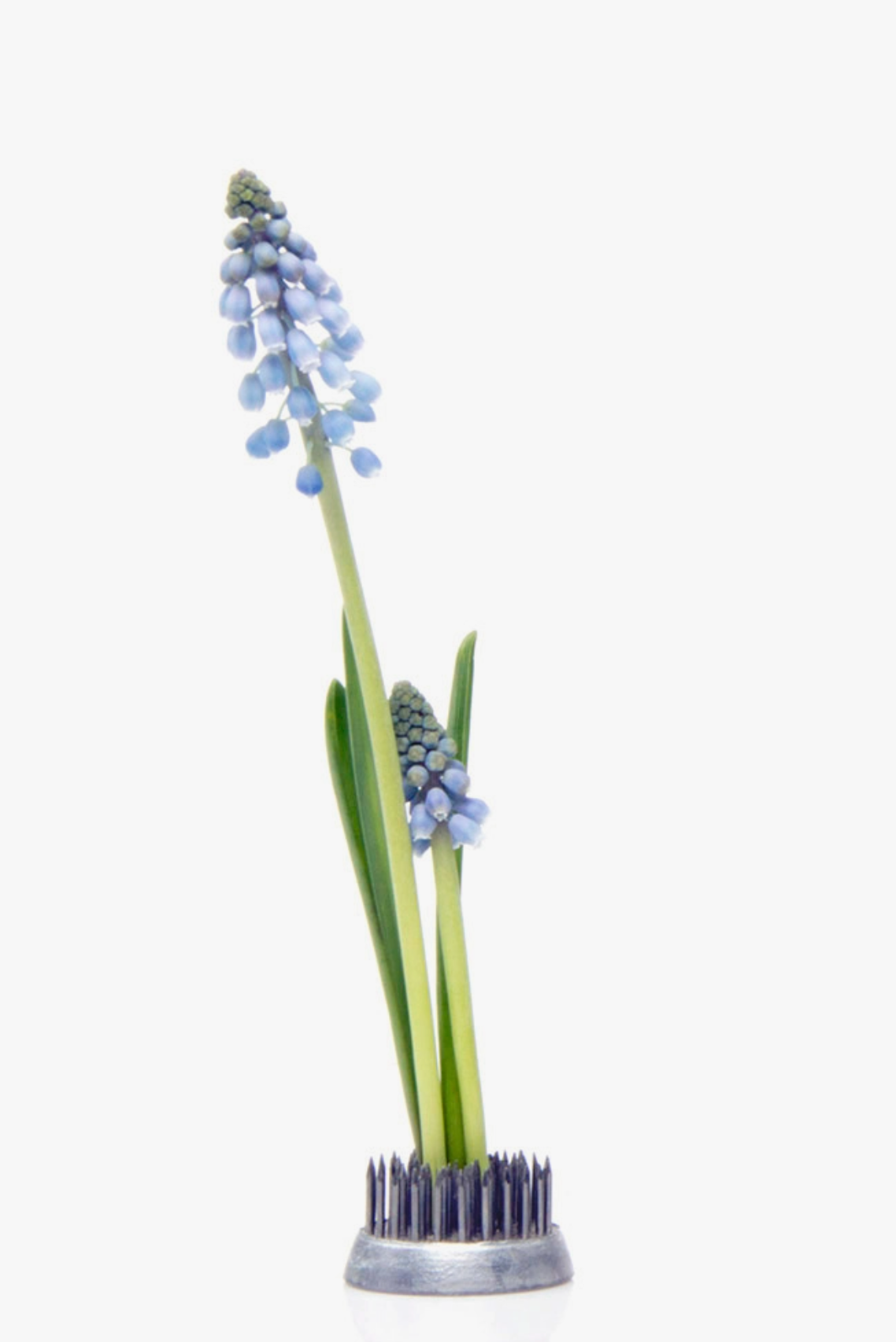 Ikebana Frogs, Small Circle Gather Goods Co.