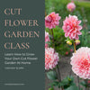 Learn How To Create A Cut Flower Garden, Tues May 16, 6:00pm