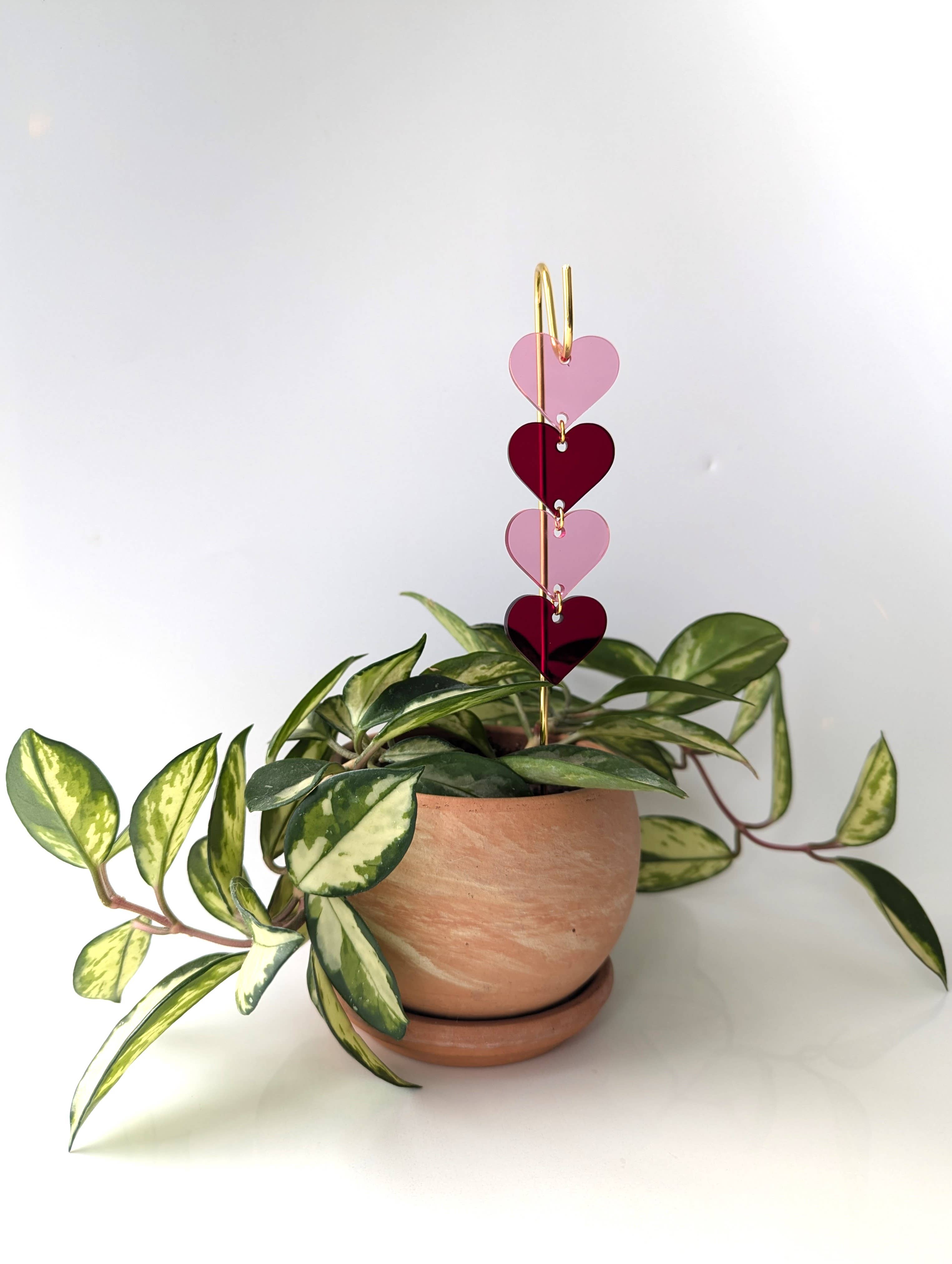 Plant Pick: Pink & Red Hearts - Gather Goods Co.