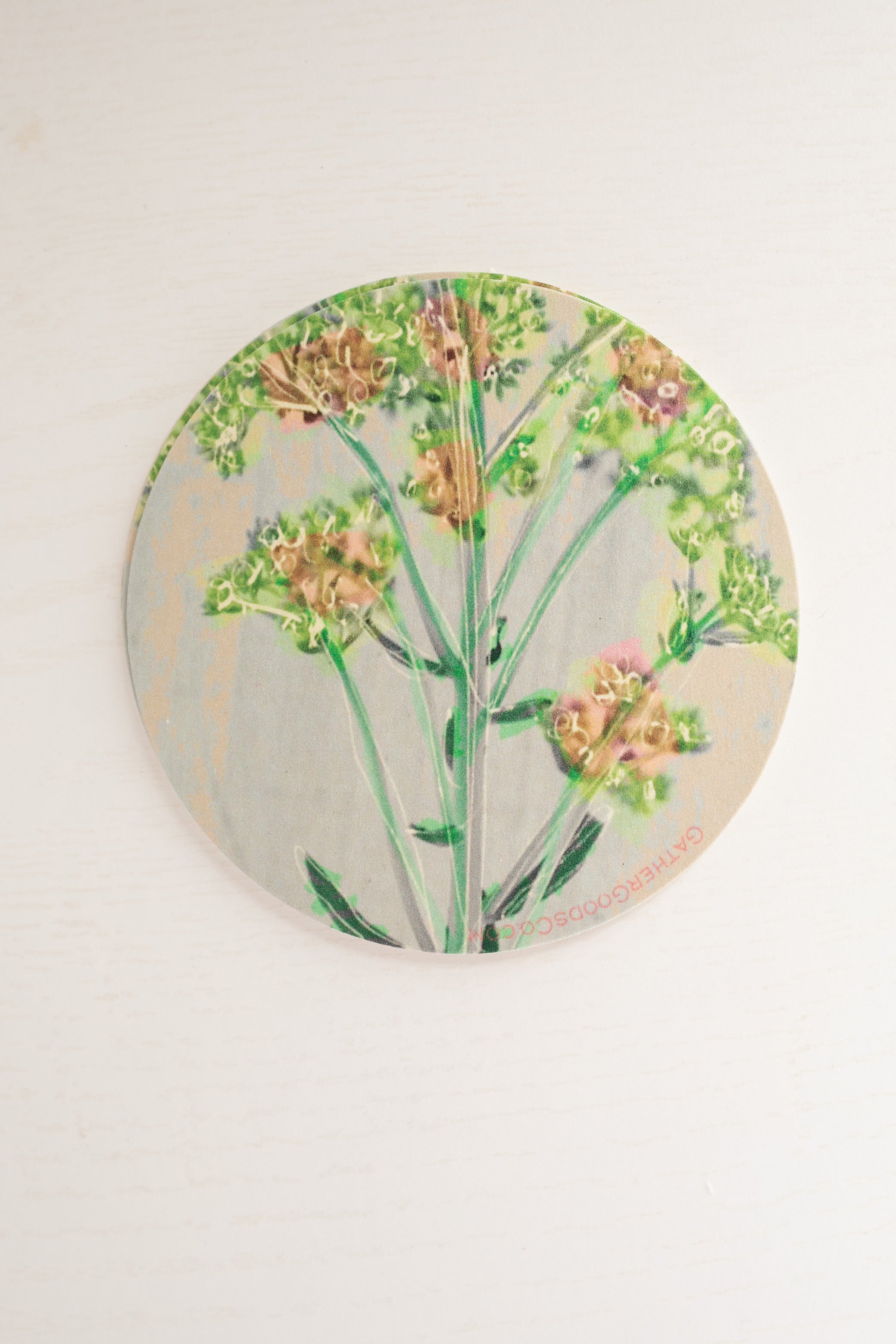 succulent coasters Sedum Succulent Cactus Flower Coaster, Set of 4, Botanical Flower Art