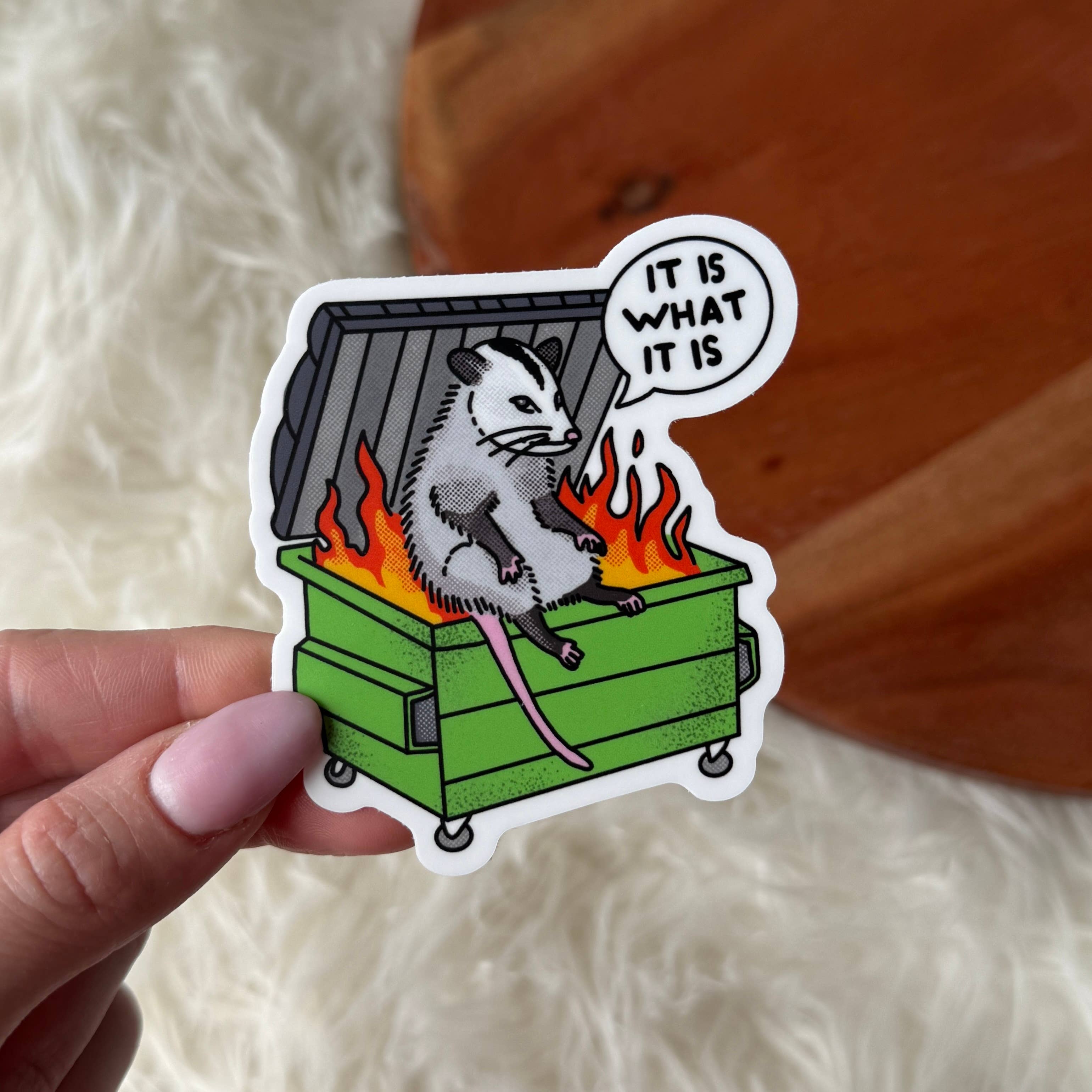 "It is what it is" Possum Dumpster Fire Sticker - Gather Goods Co.
