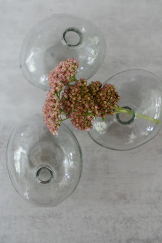 Organic Glass Vases