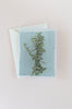 Lemon Balm Blank Botanical Note Card