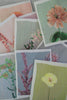 Poppy Blank Botanical Note Card
