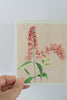 Butterfly Bush Blank Botanical Note Card
