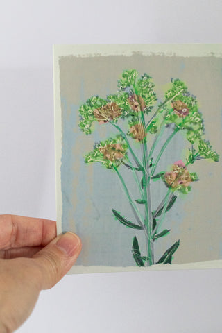 Sedum Blank Botanical Note Card