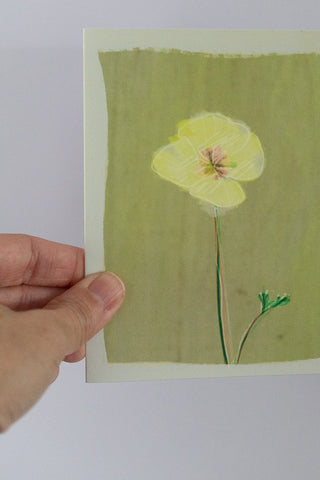 Poppy Blank Botanical Note Card