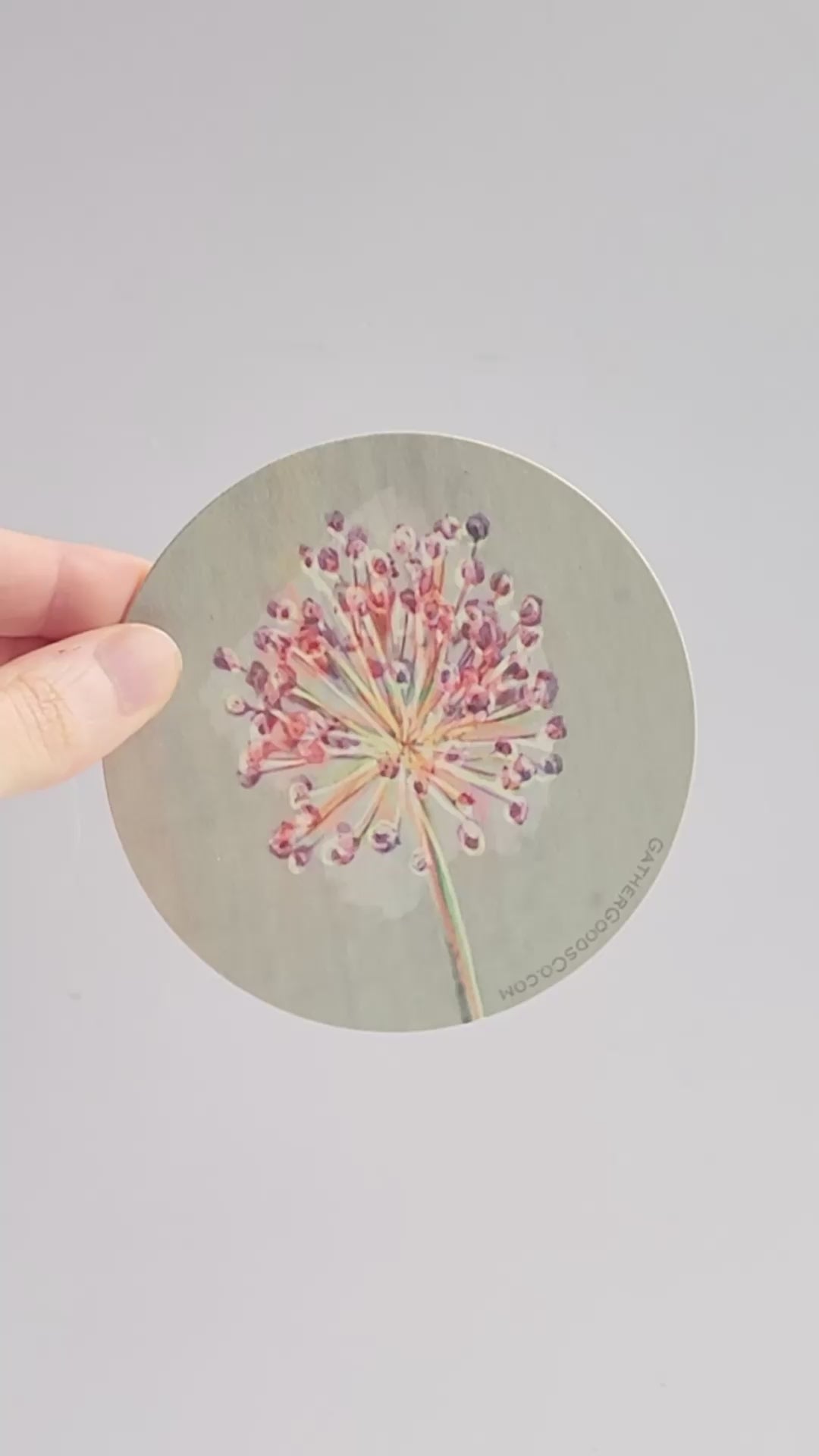 Chive Blossom Flower Coaster, Set of 4, Botanical Flower Art